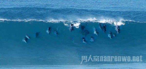 发问无疑 - 单位老领导老同事退休了,为什么给人的感觉是人走茶凉?有问必答平台